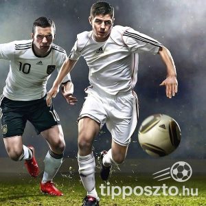 Alap tagság, Tipposztó