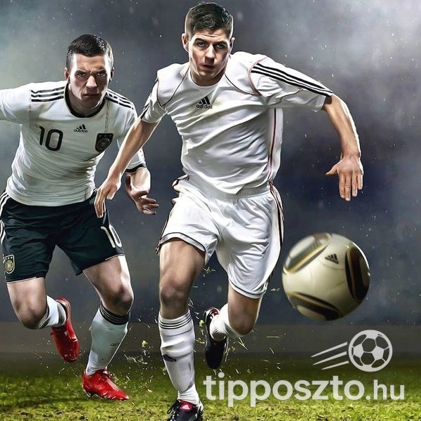 Alap tagság, Tipposztó